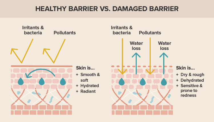 ESSENTIAL SKINCARE STEP FOR YOUR SKIN FOR POLLUTION DAMAGE